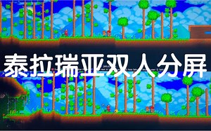 泰拉瑞亚双人分屏