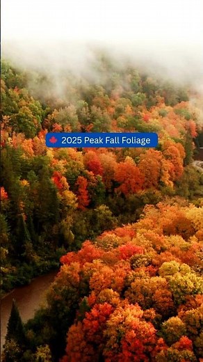 Fall Foliage 2025 🍁 Peak Color Forecast by Region