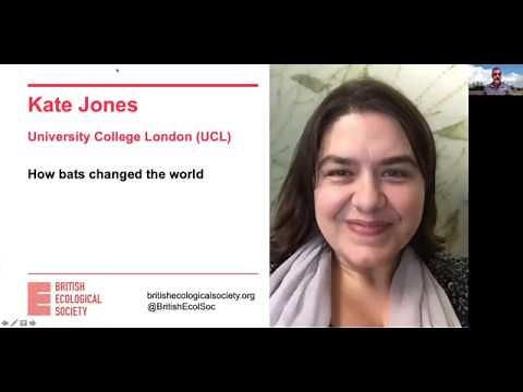 Ecology Live with Kate Jones - How bats changed the world!