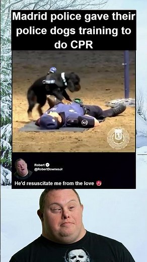 Police Dogs Training To Do CPR