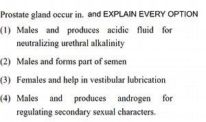 Prostate gland occur in. and EXPLAIN EVERY OPTION(1) Males and... | Filo