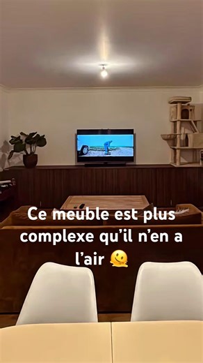 La télévision la plus discrète du monde 🕵️‍♂️