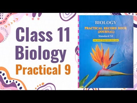 Class 11 Biology | Practical Record book (Journal) | Practical 9 #biology
