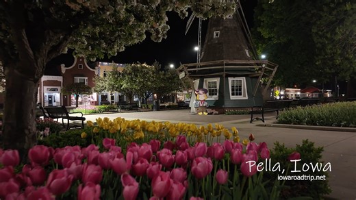 Tulips in the night in Pella, Iowa. This video is from 2024 but represents what the view will be like within the next few weeks. Brian Abeling / Iowa Road Trip | Iowa Road Trip