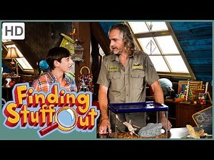 Finding Stuff Out- "Reptiles" Season 3, Episode 11 (FULL EPISODE)