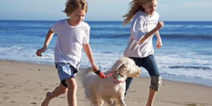 Hands-on with Healthy Choices and Healthier Living | Science Buddies Blog