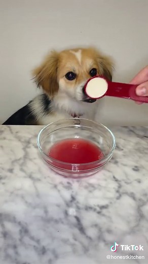 Can Dogs Eat Raspberries? A Detailed Guide for Pet Owners