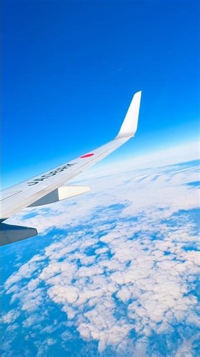 空から見た楽園 ✈️ 沖縄の美しい海🌊Paradise from the Sky ✈️ Okinawa’s Beautiful Sea