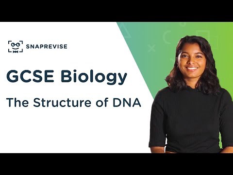 The Structure of DNA | 9-1 GCSE Science Biology | OCR, AQA, Edexcel