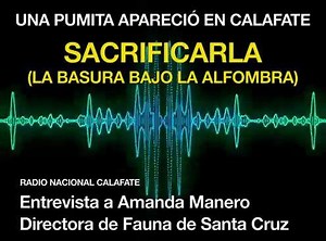 4.5K views · 82 reactions | Sacrificar a Suyai (la pumita que...