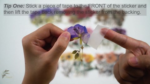 Knaid Pressed Flower Themed Stickers Set (320 Pieces) Dried Flowers Resin Stickers Decals Floral Botanical Journaling Stickers for Scrapbook Supplies Junk Journal Bullet Journal Planner Laptops