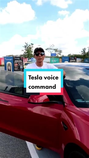 voice command #fyp #fypシ #teslamalaysia #teslamodel3 #tesla #teslatok #evmalaysia