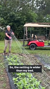 Supplies (like netting), tools, seeds, books & courses 20% off with coupon: SANTA on both stores! Comment STORE for the link or visit TheGardenersWorkshop.com or my phone APP. Flower support netting is critical to keep our flowers up and straight even in torrential rain. Some exclusions apply. Good through 7/7 midnight. #gardenersworkshopfarm | The Gardener's Workshop