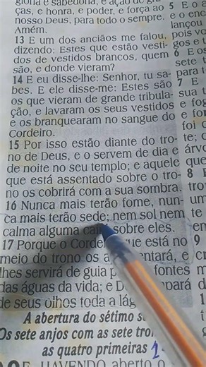 Apocalipse capítulo 7 versículo 14 ao 17#na Glória