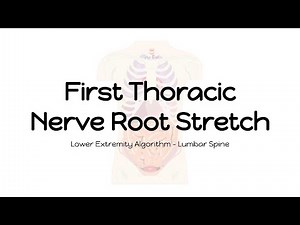 First Thoracic Nerve Root Stretch