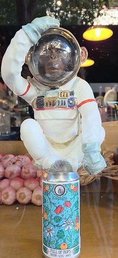 space monkey #astronaut #chimpanzee #toys #space