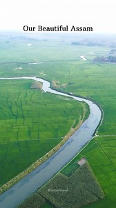 Hello World! Escape into the heart of rural Assam, where the sky meets endless stretches of vibrant green. Tamranga Beel, often referred to as the "Bird's Paradise," is more than just a wetland—it’s a living painting ☘️💚 📍Assam 🎥©️ @sachin_bharali Awesome Assam Incredible India Ministry of Tourism, Government of India | Northeast Today