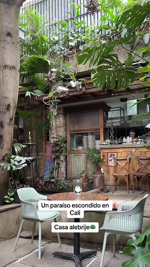 Descubre Casa Alebrije: Un Paraíso en San Antonio, Cali