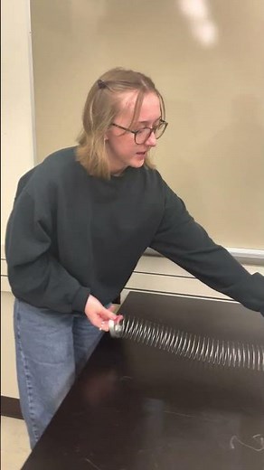 Looking at P waves and S waves (Seismic Body Waves)