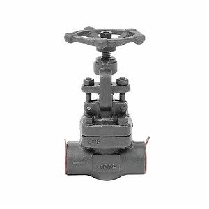 [Hot Item] Forged Steel Globe Valve, Flange End RF, 800lb, 2", A105, Hand Operated