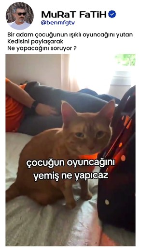 Işıklı Oyuncak Yutan Kedi 🚨🐱