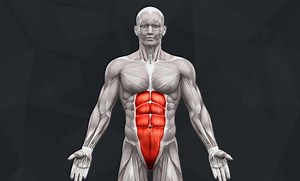 The 10 Best Lower Ab Exercises
