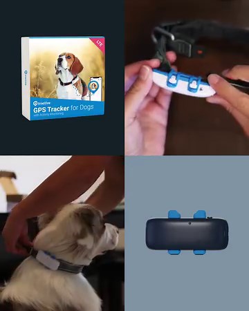 18 reactions | The best GPS Pet Tracker for pet lovers!   Live Tracking: Know where your pet is in real-time  Get alerted when your pet leaves the designated area  Track your pet's health and fitness levels  View all the places your pet has explored  100% Waterproof Join the thousands of pet lovers who trust Tractive to keep their pets safe. Order now and track your pet's adventures! | PawBoost | Facebook