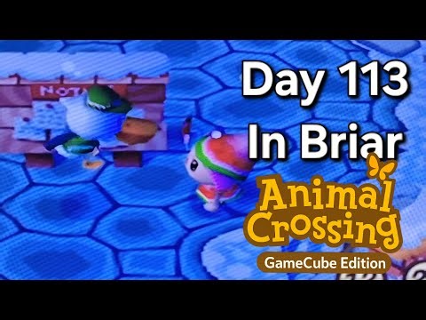 Animal Crossing GameCube – Day 113: Everyone Has a Quest, the Money Rock, and the Elusive Stringfish