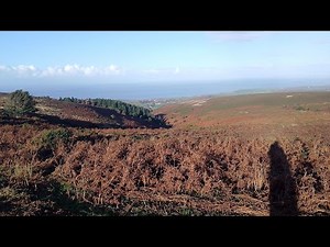 A Challenging Hike on My Beautiful Quantock Hills in Autumn,a Snippet of the Coleridge Way, 'I walk