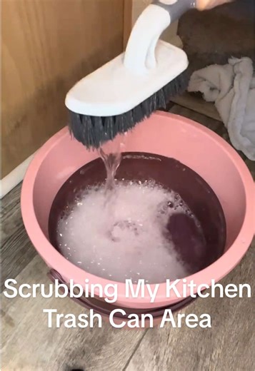 Scrubbing the Kitchen Trash Can Area for a Fresh Clean