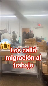 se llevaron a todos los compañeros de trabajo