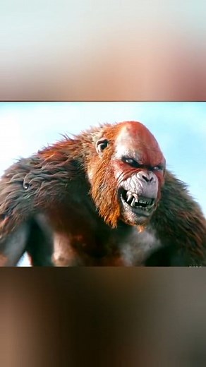 11K views · 302 reactions | Godzilla X Kong movie #godzilla #godzillakingofthemonsters #GodzillaXKongTheNewEmpire #GodzillaVsKong #GodzillaVsKongRoar #kingkong #movie #explain #viral #like #shere | Dadu Movies | Facebook