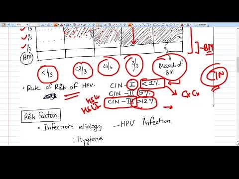 What is CIN exactly? Cervical Intraepithelial Neoplasia