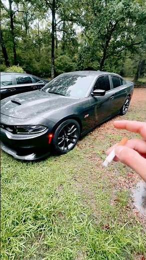 275/40R/20’s Michelin Pilot Sport 4’s ALL SEASON - No Rubbing - 23’ Scat Pack Charger #michelinpilot