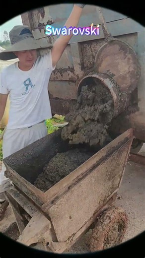 How Cow Manure Is Collected on Farms Shorts