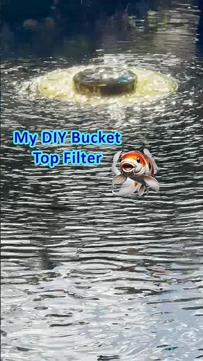 My DIY Bucket Top Filter for Ponds ✨