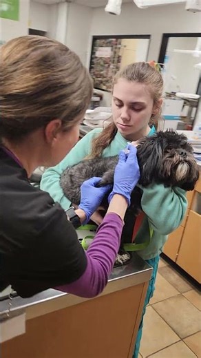 skill group 12 subcutaneous injection