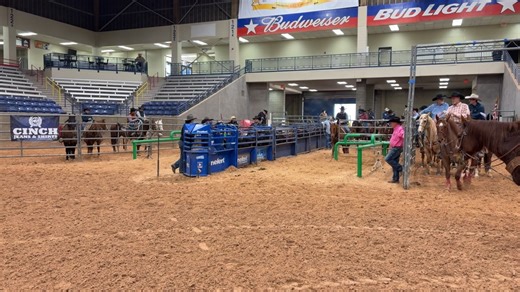 #9.5 Legends Dust Bowl | Mc3 Team Ropings