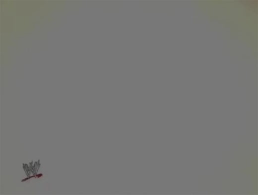 Instagram video by Jon Escudero • Jul 24, 2025 at 10:12 AM