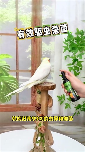 Springtime brings a surge in parasites, severely impacting the!#ParrotInsectRepellentSpray #Pet