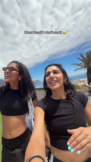 Outline a Lion with Humor from Cape Town