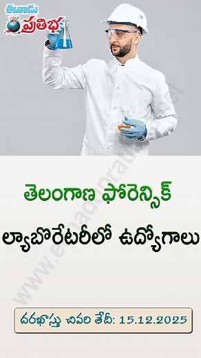 TSLPRB, Forensic Science Laboratory -60 Vacancies...Link below https://pratibha.eenadu.net/notifications/notification_article/government-jobs/tslprb-recruitment-2025/2-8-27-23070021526 #tslprb #tslprbrecruitment2025 #telanganafsljobs #scientificofficerposts #scientificassistantvacancy #telanganajobs #labtechnician #policejobsintelangana | Eenadu Pratibha
