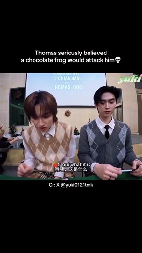 Thomas's Fictional Chocolate Frog Adventure