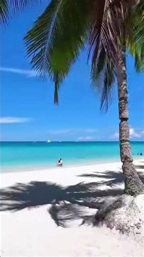 Cheeseburger in Paradise Jimmy Buffet Tribute