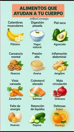 ALIMENTOS QUE AYUDAN A TU CUERPO 🍎🌿