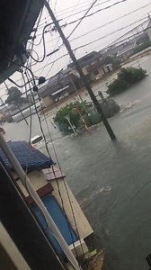 Typhoon is approaching Japan Heavy rain in Shizuoka | Japan Tomo