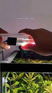 Descubra a Luminária PowerTube: Incrível para Seu Aquário!