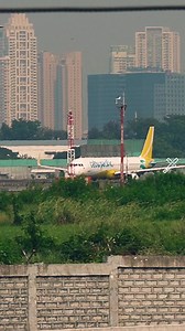 23K views · 263 reactions | Good ol' classic Airbus A321 of Cebu Pacific Air  • • • • • • • #airbus #airbuslovers #a321 #a321ceo #ceo #airbus321 #a321lovers #takeoff #departure #cebupacific #ceb #mnl #manila #philippines #aviation | RWY MNL | Facebook