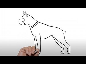 How To Draw A Boxer Dog Easy - Kids Drawing Ideas