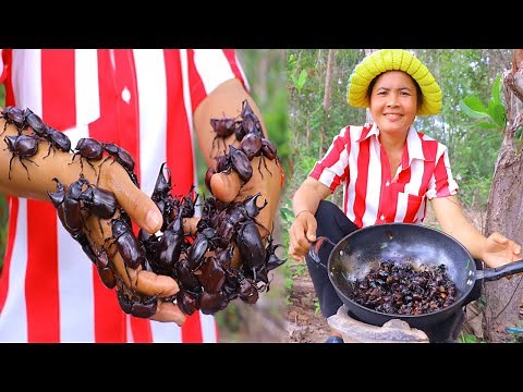 Cook Fried Beetle Recipe Wild Food - Eating delicious